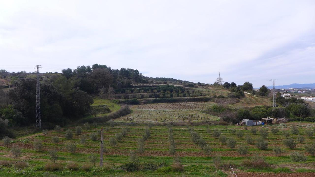 Agroturisme Cal Jeroni Avinyonet del Penedes Zewnętrze zdjęcie