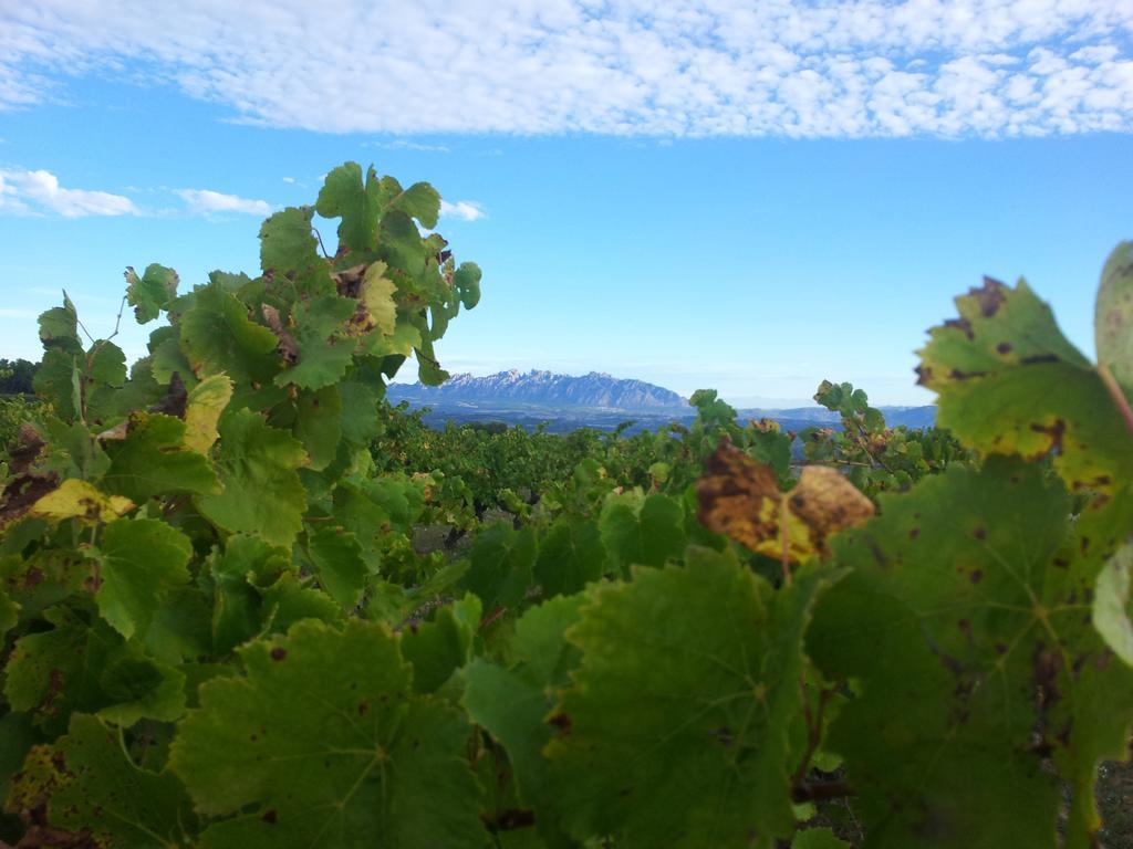 Agroturisme Cal Jeroni Avinyonet del Penedes Zewnętrze zdjęcie