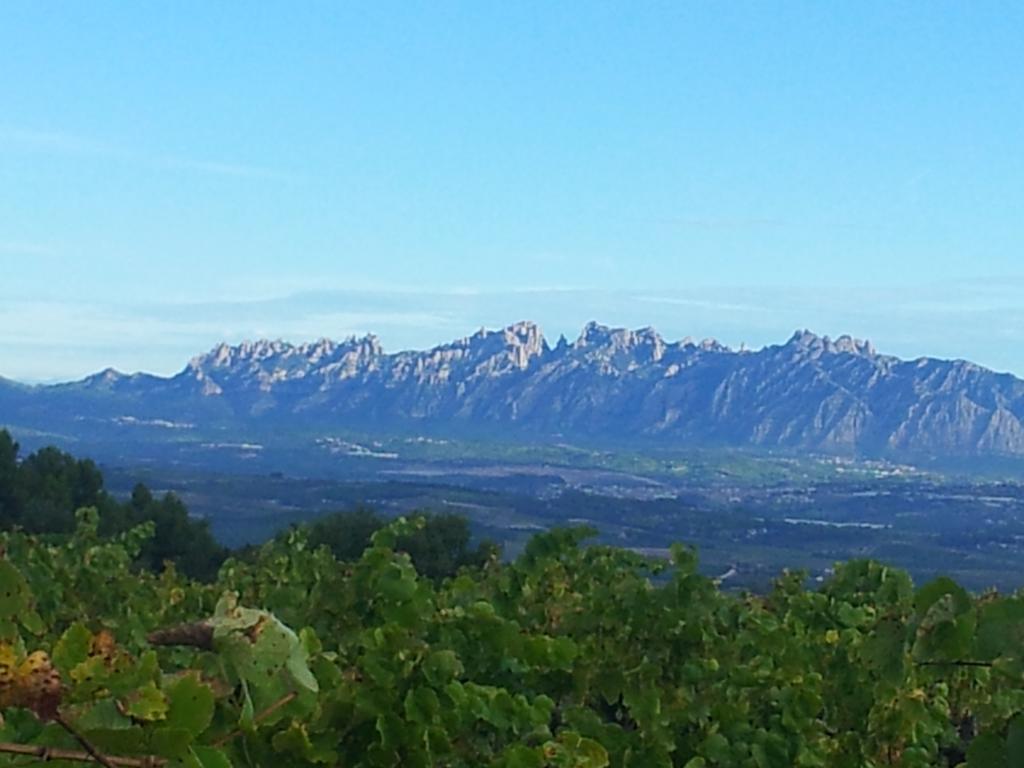 Agroturisme Cal Jeroni Avinyonet del Penedes Zewnętrze zdjęcie
